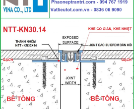 Nẹp Khe Lún KN30.14CS