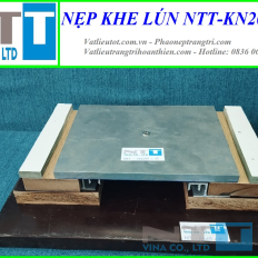 Nẹp nhôm che khe lún - khe nhiệt NTT-KN200x10 