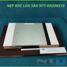 Nẹp Nhôm Khe Lún KN200x10 