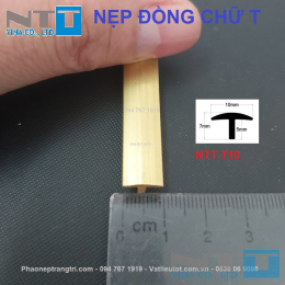 Nẹp đồng NTT-T10