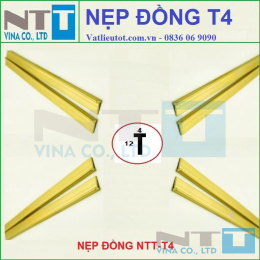 Nẹp đồng NTT-T4 