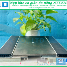 Nẹp khe lún NTT-KN200CS